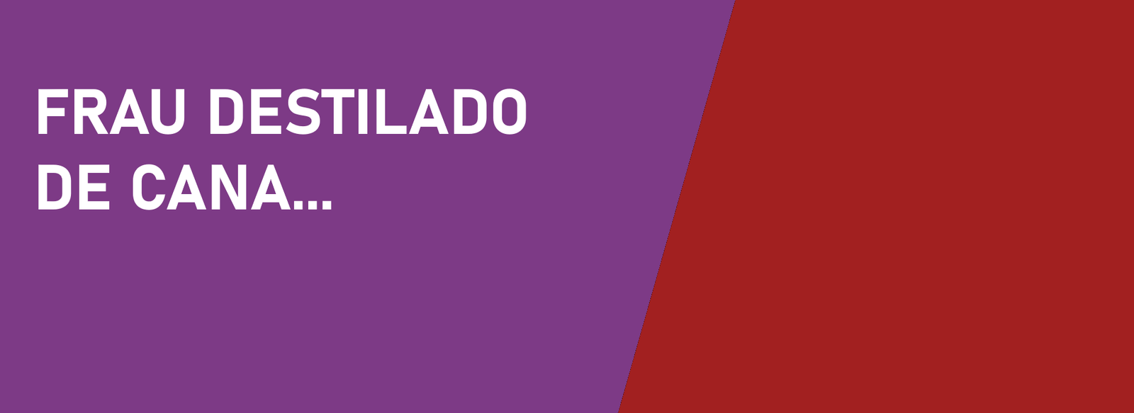 Banner-principal